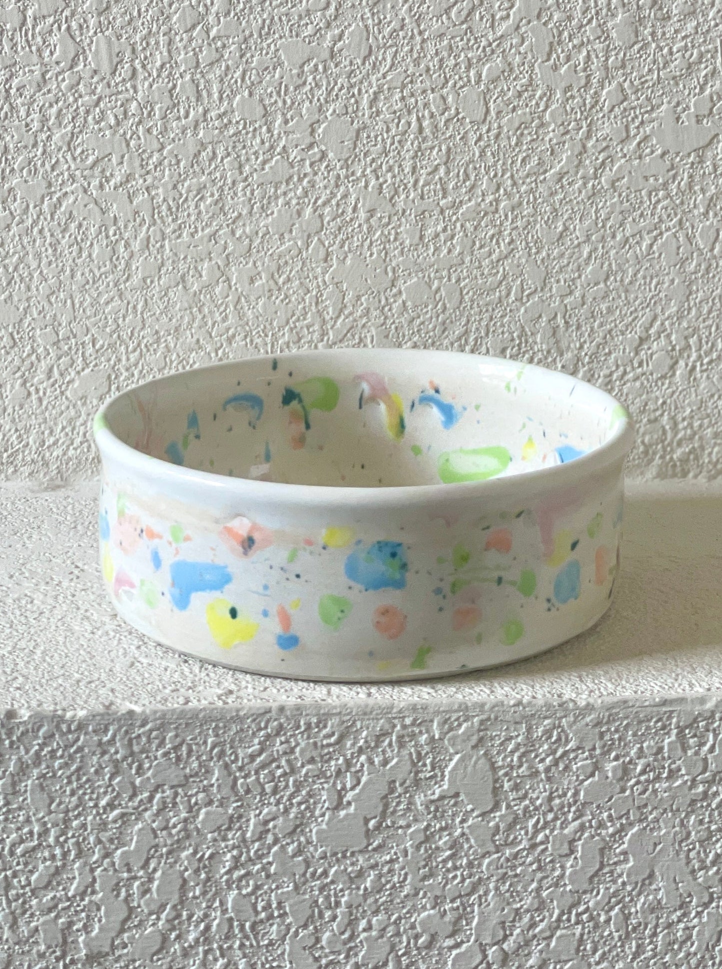 Splatter Pet Bowl 2